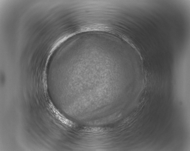 X0000085811072200703301519