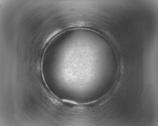 X0000085811073200703301519