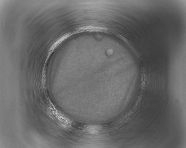 X0000085811074200703301519