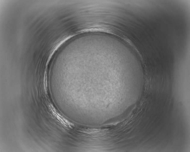 X0000085811076200703301519