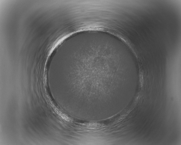 X0000085811077200703301519