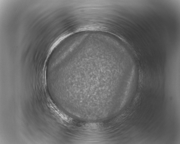 X0000085811078200703301519