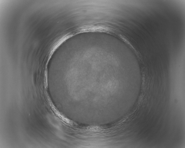 X0000085811079200703301519