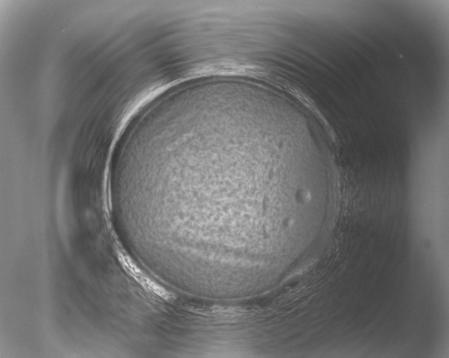 X0000085811080200703301519