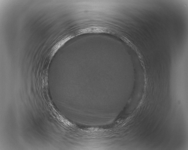 X0000085811081200703301519