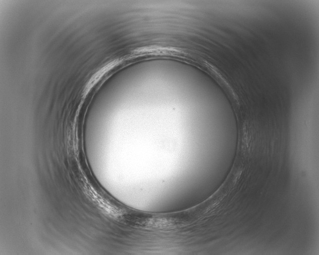 X0000085811082200703301519