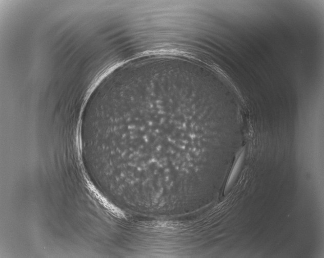 X0000085811084200703301519