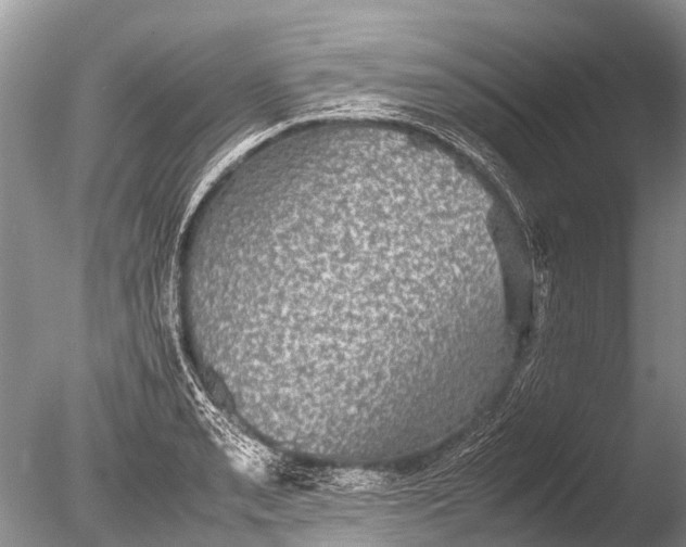 X0000085811085200703301519