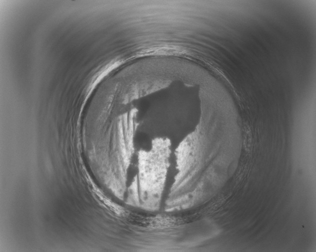 X0000085811087200703301519