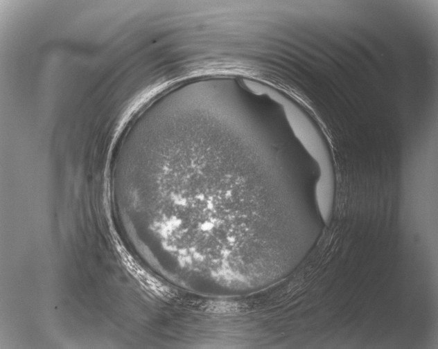 X0000085811088200703301519