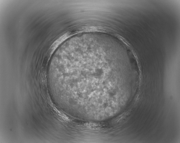 X0000085811089200703301519