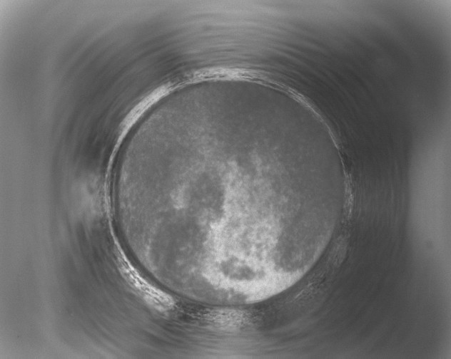 X0000085811090200703301519