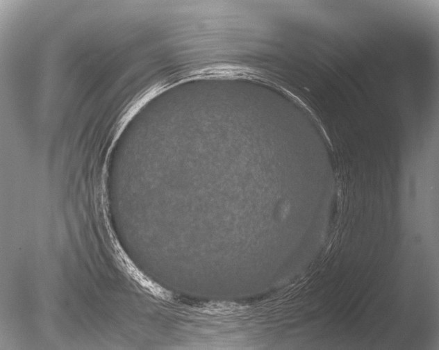 X0000085811091200703301519