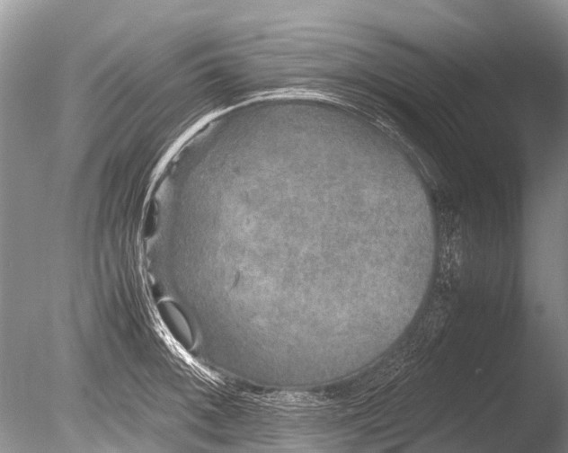 X0000085811092200703301518