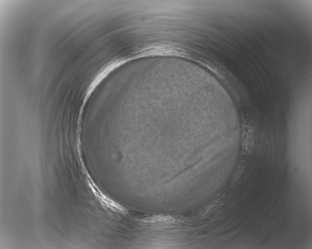 X0000085811094200703301518