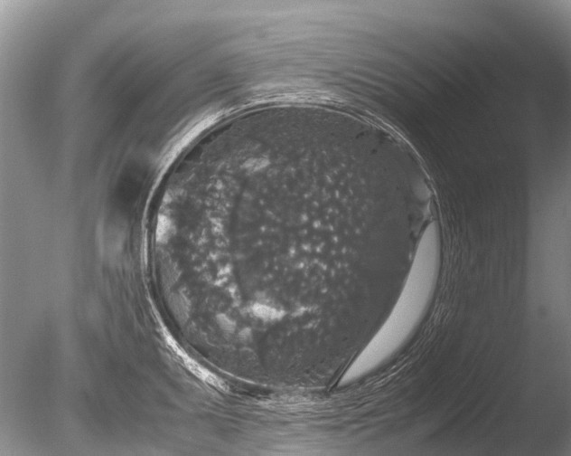 X0000085811095200703301518