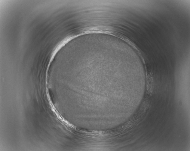 X0000085811096200703301518