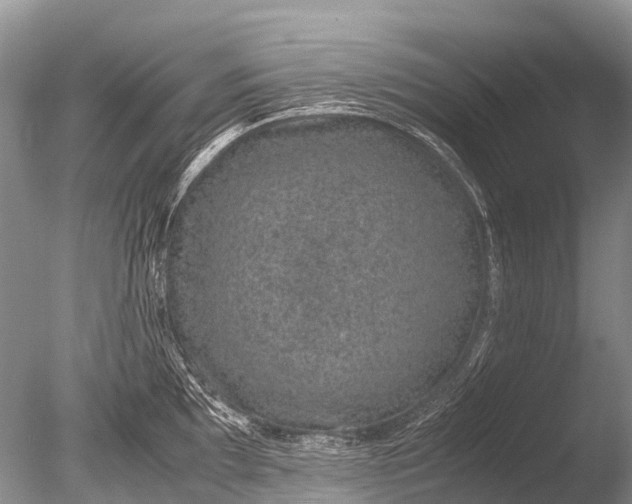 X0000085811097200703301518