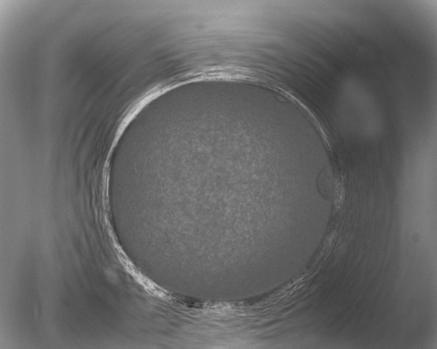 X0000085811099200703301518