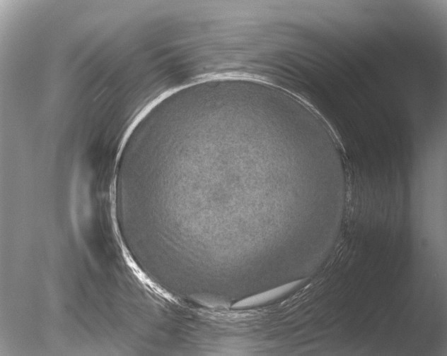 X0000085811100200703301518