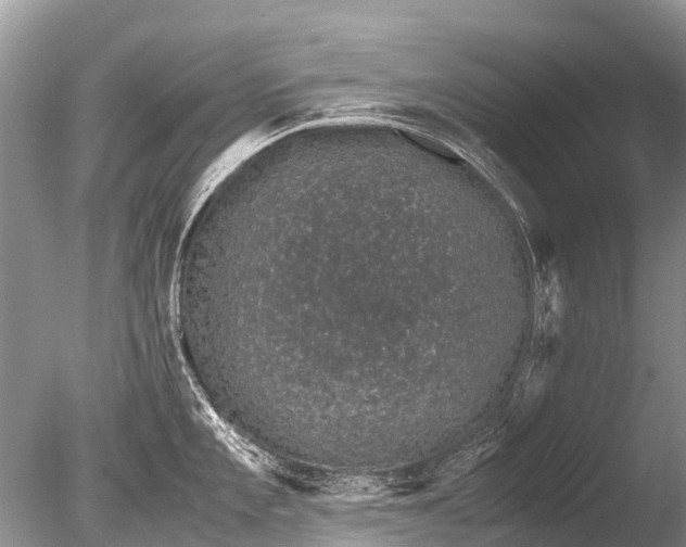 X0000085811101200703301518