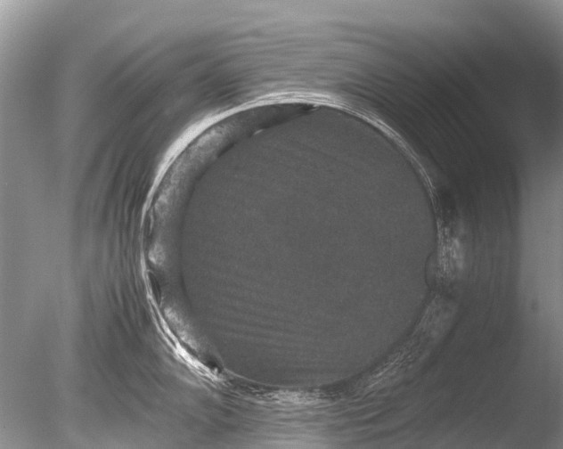 X0000085811102200703301518