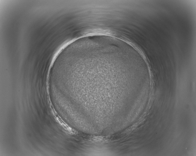 X0000085811104200703301518