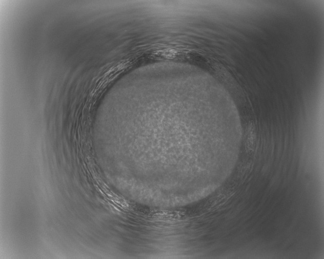 X0000085811105200703301517