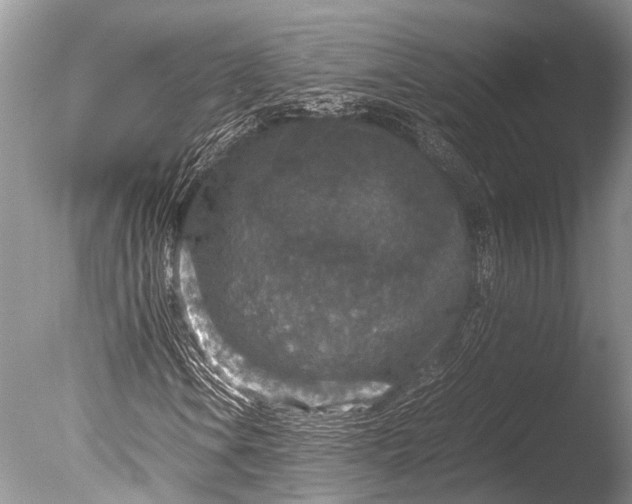 X0000085811106200703301517