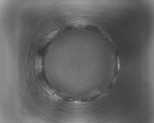 X0000085811108200703301518