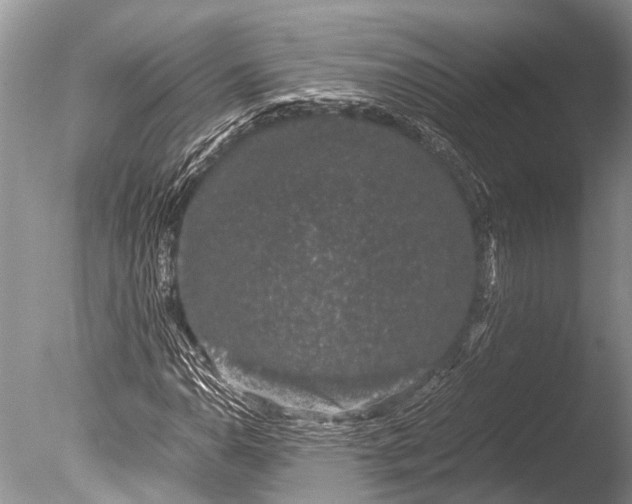 X0000085811110200703301518