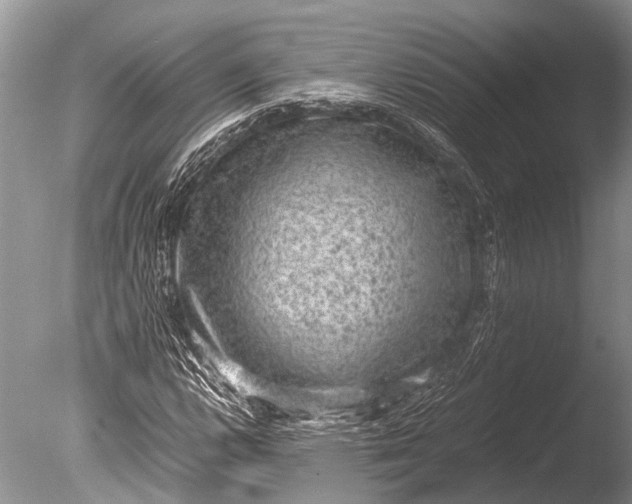 X0000085811112200703301518