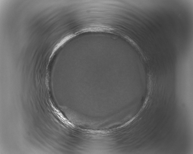 X0000085811114200703301518