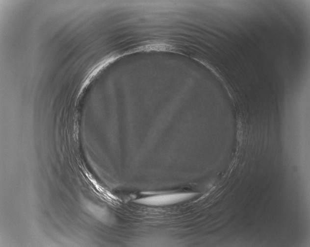 X0000085811115200703301518