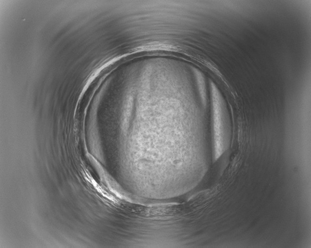 X0000085811116200703301518