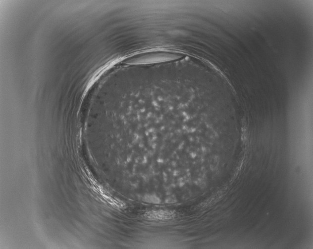 X0000085811117200703301518