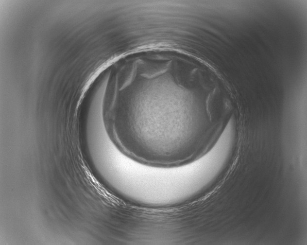 X0000085811118200703301518