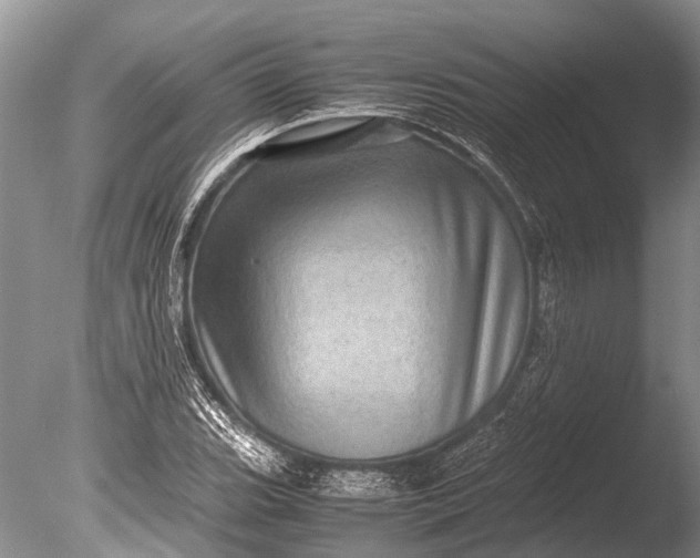 X0000085811119200703301518