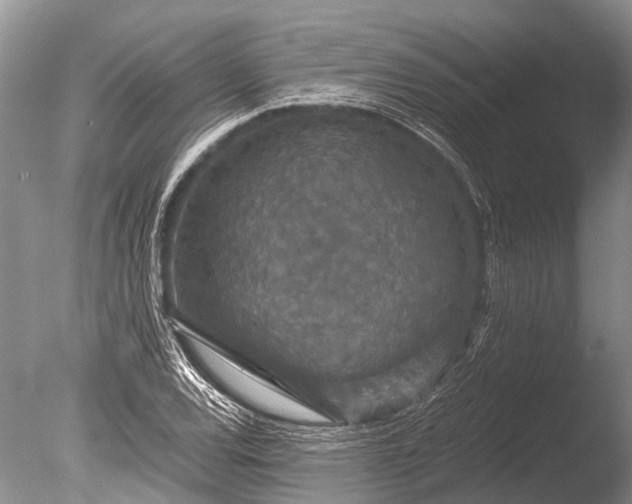 X0000085811120200703301518