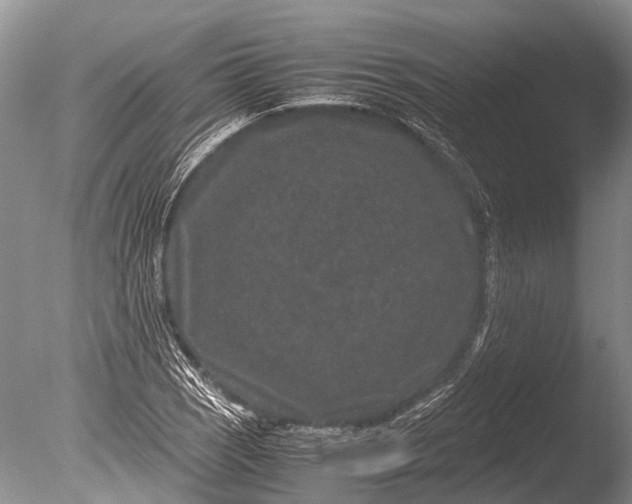 X0000085811121200703301518