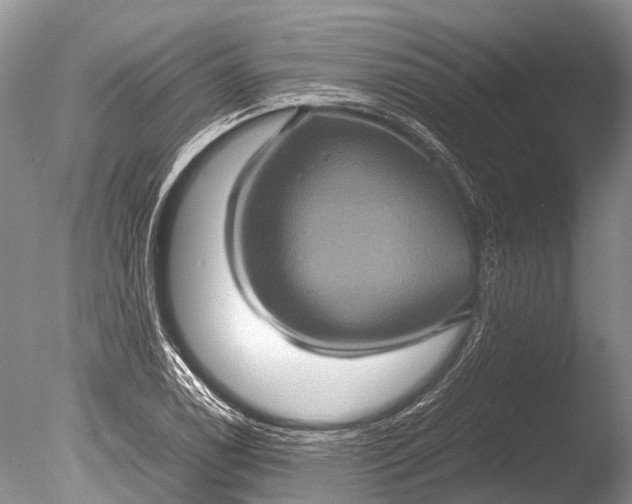 X0000085811122200703301518