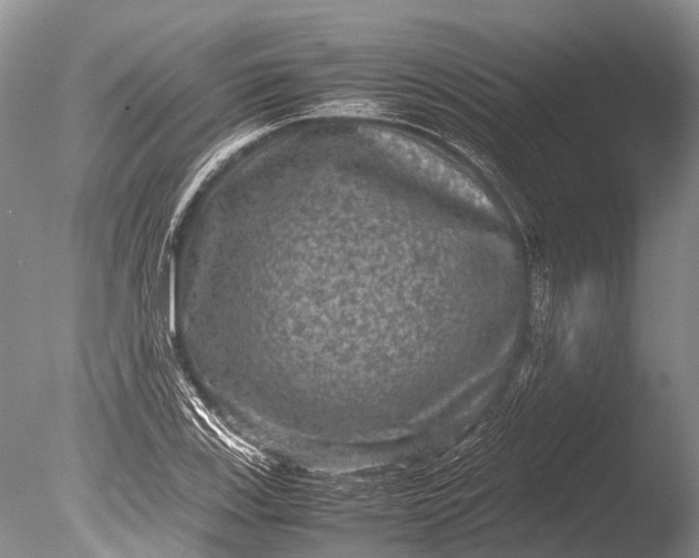 X0000085811123200703301518