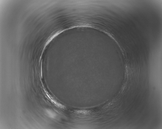 X0000085811127200703301518