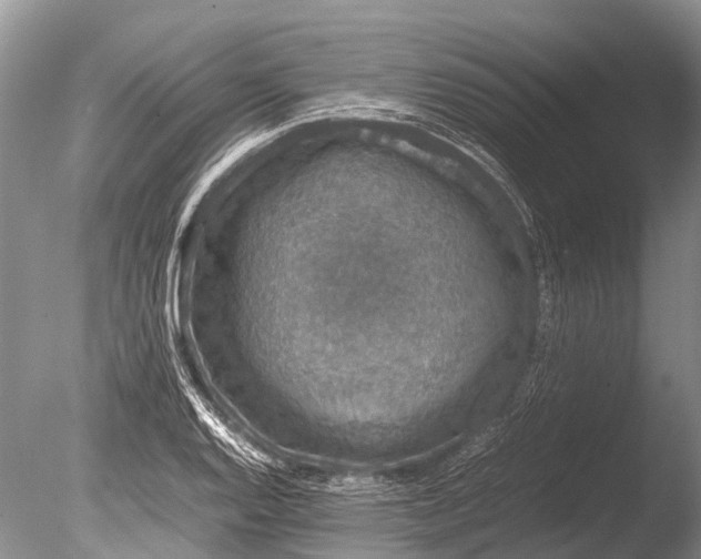 X0000085811128200703301518