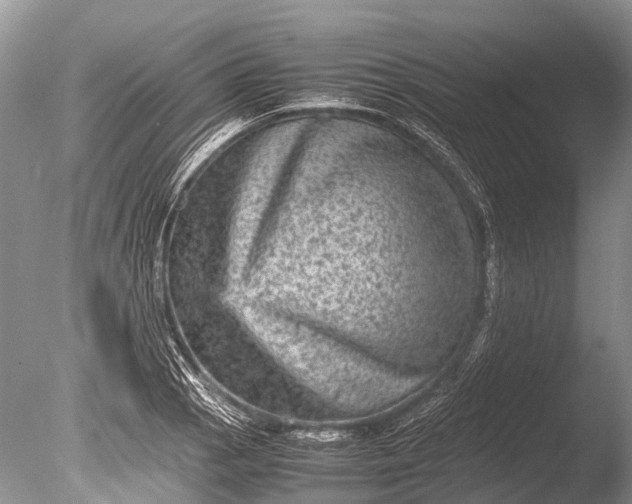 X0000085811129200703301518