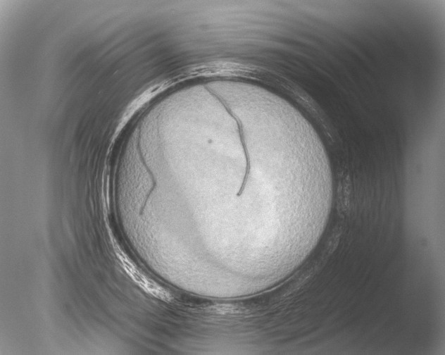 X0000085811130200703301518