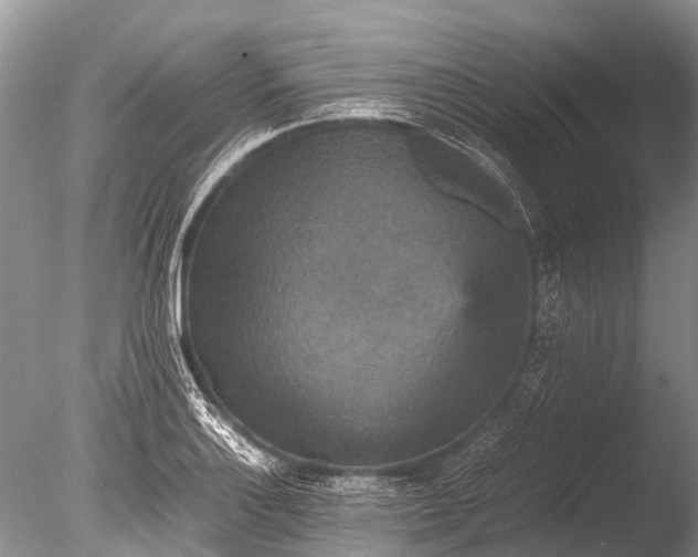 X0000085811132200703301518