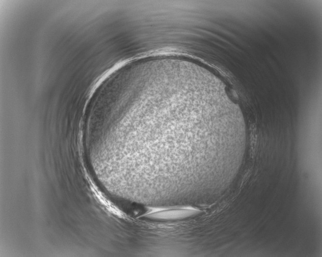 X0000085811134200703301518