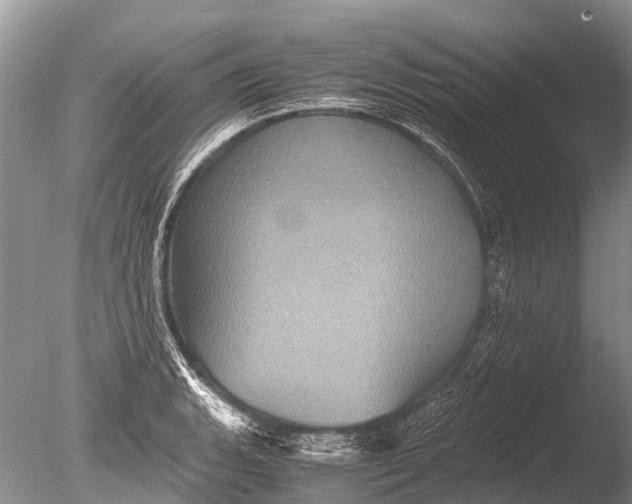 X0000085811135200703301518