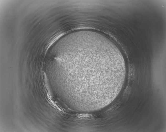 X0000085811137200703301518